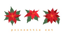 Poinsettia Set, Sammlung Traditioneller Weihnachtspflanzen. Handgezeichnete Blumensammlung, Urlaubselemente. Vektorgrafik Im Doodle-Stil Einzeln Auf Weißem Hintergrund. 