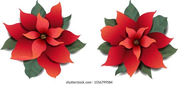 Poinsettia Set Isolated White Background With Gradient Mesh, Vector Illustration
