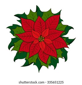 Poinsettia shrub with large showy scarlet bracts  and green leaves surrounding the small yellow flowers, popular as a houseplant at Christmas. Hand drown on the white background.