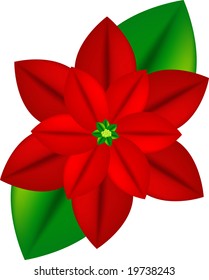 poinsettia vector