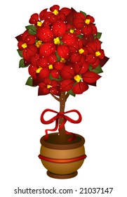 Poinsettia - Vector