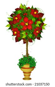 Poinsettia - Vector