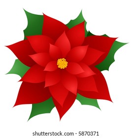 Poinsettia Vector Illustration Stock Vector (Royalty Free) 5870371 ...