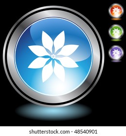 Poinsettia web button isolated on a background