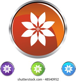 Poinsettia web button isolated on a background