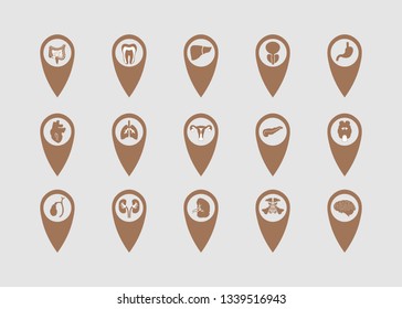 point location depicting human organs. Medical elements