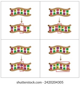 Punktmutation, Fehler während der DNA-Replikation. Löschung, Beilage, Inversion, Substitution Wissenschaftliches Design, Vektorgrafik.