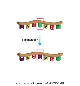 Point mutation, error during DNA replication. Deletion, Insertion, Inversion, Substitution Scientific design, Vector illustration.