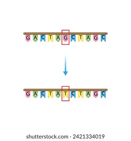 Point mutation, error during DNA replication. Deletion, Insertion, Inversion, Substitution Scientific design, Vector illustration.