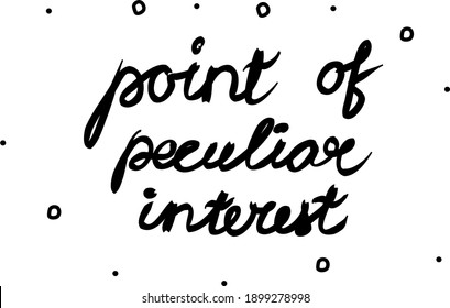 Point of peculiar interest phrase handwritten. Lettering calligraphy text. Isolated word black modern