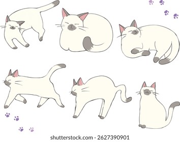 A lot of pointed cats had gathered.