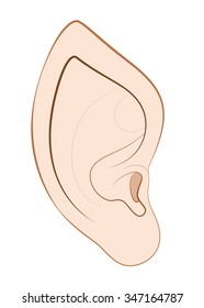 Pointed ear of an elf, fairy, vampire or other fantasy creature or animal. Isolated vector illustration on white background.