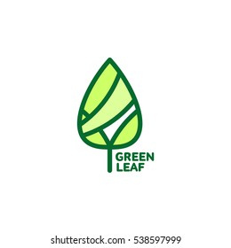 Pointed green leaf growing up logo template, vector illustration isolated on white background. Green leaf logotype template with text on right, environment, nature, growth, development concept