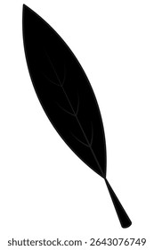Pointed leaf. Elongated part of a tree with veins. Silhouette. Vector illustration. Isolated white background. Cartoon style. Idea for web design.