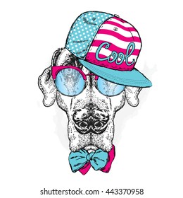 Pointer. Beautiful dog wearing a cap, sunglasses and tie. Vector illustration.