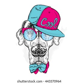 Pointer. Beautiful dog wearing a cap, sunglasses and tie. Vector illustration.