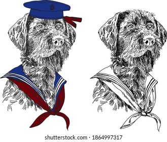 Pointer breed dog portrait vector illustration