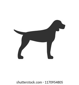 Pointer dog. monochrome icon
