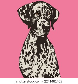 Pointers German Shorthaired hand drawn cartoon picture line art vector drawing