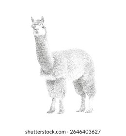 Pointillism Drawing of a Llama