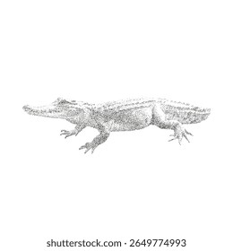 Pointillism Illustration of a Crocodile Vector Art