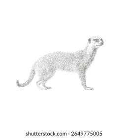 Ilustração pontilhada de uma arte vetorial em lontra