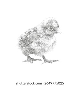Ilustração vetorial de pontilhismo do pintinho de pé em estilo preto e branco minimalista