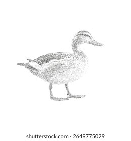 Ilustração vetorial de pontilhismo de pato de pé em estilo preto e branco minimalista