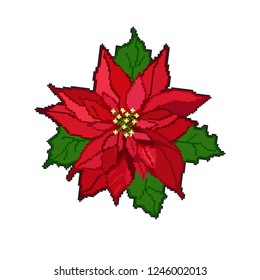 Pointsettia on a white background. Pixel art. Vector illustrator.