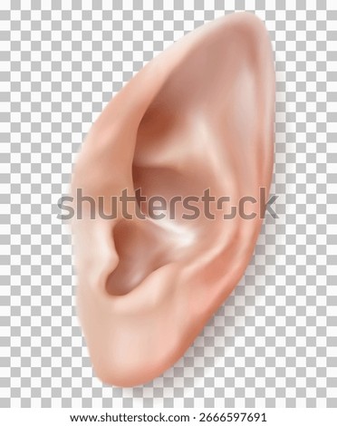 Pointy ear of elf. Realistic 3d vector elven large ear isolated on transparent background. Suitable for Santa elfs, forest elfs, fairy tale elfs and etc. Close up frontal plane. 

