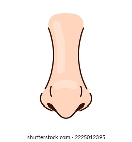 Pointy nose of person with thin nostrils cartoon illustration. Nose of Caucasian person with pointy tip, human face part on white background. Rhinoplasty, anatomy, surgery, breathing, medicine concept