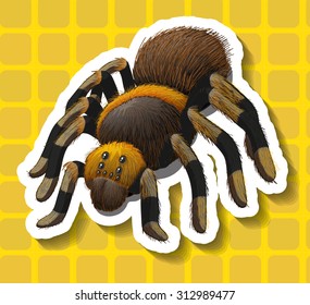 Poisionous spider on yellow background