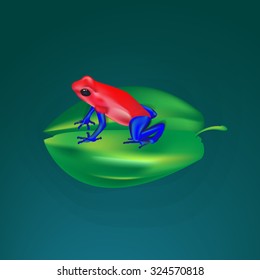 poison dart frog