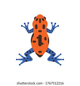 Vector de dibujos animados de rana darda venenosa sobre un fondo blanco