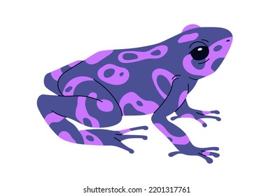 Poison dart frog of purple color. Exotic amphibian reptile. Tropical violet toxic froglet with spots. South American Amazon animal. Flat vector illustration isolated on white background