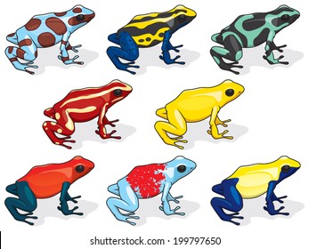 Poison Dart Frogs