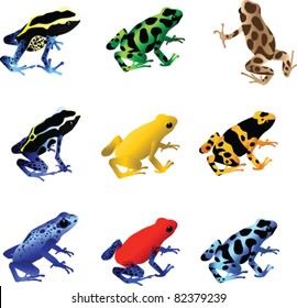 Poison Dart Frogs