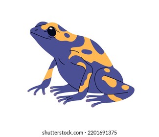 Poison dart tree frog of yellow and blue color. Toxic exotic amphibian reptile. Tropical froglet with spots. Amazon wild bicolor treefrog. Flat vector illustration isolated on white background