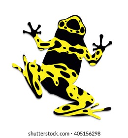 Poison frog, flat design. Vector illustration of yellow, black frog on white background.  Isolated tree frog, top view