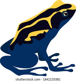 Poison frog, illustration, vector on white background