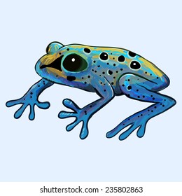 Poison frog vector illustration