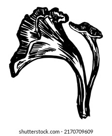 Poison mushroom. Abstract fungus in engraving style. Hand drawn vector sketch illustration. Halloween decor clipart isolated on white.