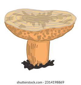 Poison mushroom clipart isolated on white. Abstract fungus in cartoon style. Colored vector illustration of Halloween decor.