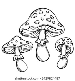 poison mushroom fly agaric, amanita vector hand drawn illustration tattoo sketch style isolated on white. Magic mushroom 