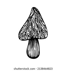 Poison mushroom. Fly agaric red, toadstool in sketch style. Deadly fly agaric. Dangerous forest mushroom. Black and white line art hand drawn vector. Psychedelic mushroom.