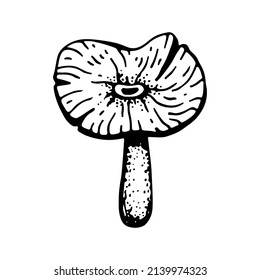 Poison mushroom. Fly agaric red, toadstool in sketch style. Deadly fly agaric. Dangerous forest mushroom. Black and white line art hand drawn vector. Psychedelic mushroom.