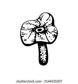 Poison mushroom. Fly agaric red, toadstool in sketch style. Deadly fly agaric. Dangerous forest mushroom. Black and white line art hand drawn vector. Psychedelic mushroom.