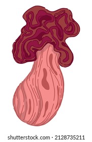 Poison mushroom, fungus in abstract style. Single modern clipart isolated on white background. Contemporary vector illustration.
