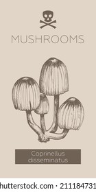 Poison Mushroom. Mushroom hand drawn vector frame. Isolated Sketch organic food drawing template. Great for menus, labels, product packaging.