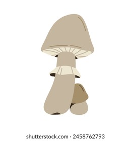 Poison mushroom, pale toadstool. Toxic death cap fungi, big and small. Hazardous bad inedible fall autumn fungus composition. Flat graphic vector illustration isolated on white background